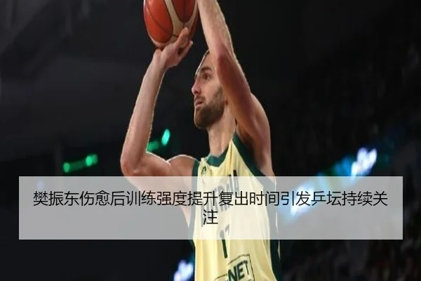 樊振东伤愈后训练强度提升复出时间引发乒坛持续关注